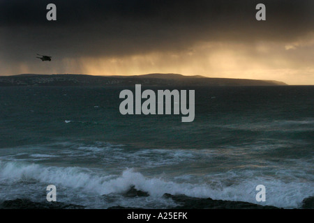 Faucon crécerelle planant au-dessus de la falaise avec vue sur la mer déchaînée derrière à St Ives Cornwall UK Banque D'Images