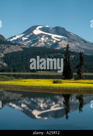 Des étincelles Lake et South Mountain soeur dans la chaîne des Cascades de l'Oregon de fleurs de fleurs sauvages jaune sur une île Banque D'Images