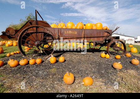 Automne Automne principalement pour l'utilisation d'affichage de citrouille Halloween art Banque D'Images