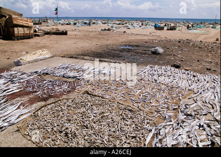 Le séchage du poisson au soleil sur la plage de Chennai Inde Banque D'Images