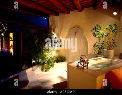 Vue d'une salle de bains ornée de plantes Banque D'Images