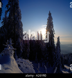 Dreisessel montagne en hiver, forêt de Bavière, Bavière, Allemagne. Photo par Willy Matheisl Banque D'Images