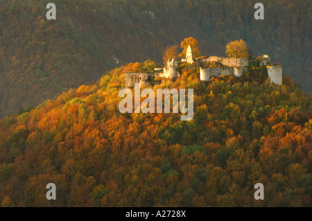 Les ruines du château dans Hohenurach premier automne lumière Jura Souabe Baden Württemberg Allemagne Banque D'Images