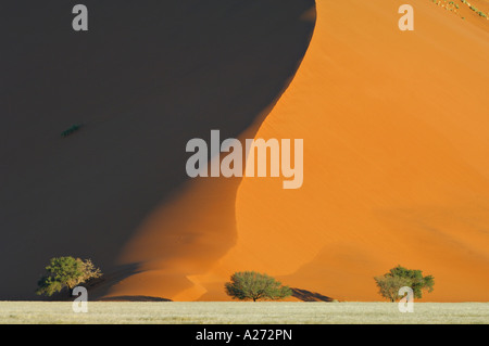 Dans Namibdesert dune première lumière Namibie Afrika Banque D'Images