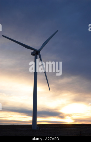 Éoliennes sur une prairie ridge près des contreforts du sud de l'Alberta au lever du soleil avec quelques nuages et vent léger Canada Banque D'Images