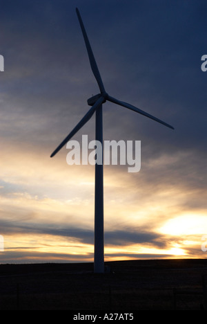 Éoliennes sur une prairie ridge près des contreforts du sud de l'Alberta au lever du soleil avec quelques nuages et vent léger Canada Banque D'Images