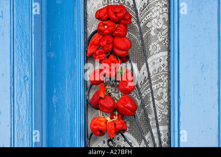 Peppper séchées sont accrochés sur un house entrée , firostefani, Santorin, grec Banque D'Images