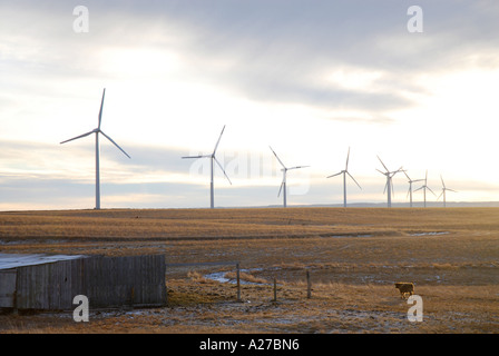 Éoliennes sur une praire ridge près des contreforts du sud de l'Alberta au lever du soleil avec quelques nuages et vent léger Canada Banque D'Images