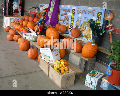 Citrouilles et courges à vendre à l'extérieur de supermarché à Sheffield United States America USA Massachusetts Banque D'Images