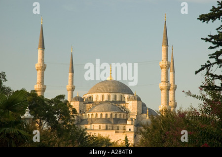 La belle, à l'étourdissement, la Mosquée Bleue, Mosquée Sultan Ahmed, ciel clair, Sultanahmet Camii, Istanbul, Turquie, l'Europe. DSC 7542 Banque D'Images