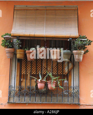 Des murs colorés Comunitat Valencia Communauté Valencienne Costa del Azahar Espagne péninsule ibérique Iberia Hispania España Europe Banque D'Images