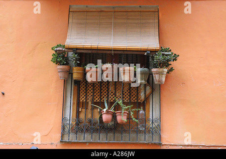 Des murs colorés Comunitat Valencia Communauté Valencienne Costa del Azahar Espagne péninsule ibérique Iberia Hispania España Europe Banque D'Images