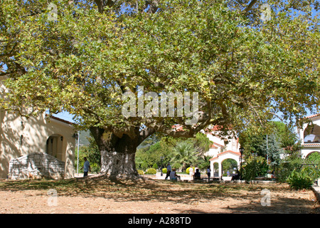 Agios Gerasimos Grèce Îles Ioniennes Kefalonia Banque D'Images