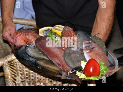 Un plat de poisson pour un repas du soir dans un restaurant à Dubrovnik, Croatie Banque D'Images