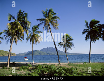 Banana Bay, Saint-Kitts, Saint-Kitts-et-Nevis, Petites Antilles, Caraïbes Banque D'Images