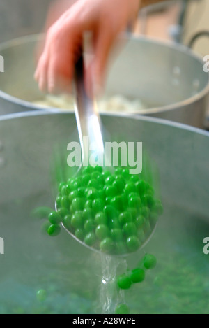 Faire bouillir les PETITS POIS DANS UN POT POUR LE NOUVEAU PROGRAMME DES REPAS SCOLAIRES UK Banque D'Images