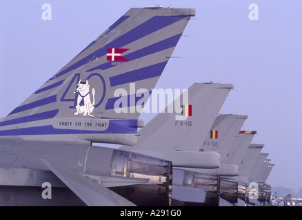 Les ailettes de l'empennage du F-16 Fighting Falcon. 2104-208 GAV Banque D'Images