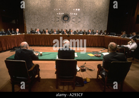 Vue à partir de la table des témoins au cours de United States Senate Armed Services Committee Audition sur les gays dans l'armée Washington DC Banque D'Images