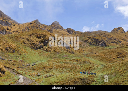 Un groupe de touristes et de guides de trekking à travers le paysage sauvage des Andes sur la "communauté" de l'Inca. Banque D'Images