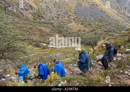 Un groupe de touristes et de guides de trekking à travers le paysage sauvage des Andes sur la "communauté" de l'Inca. Banque D'Images