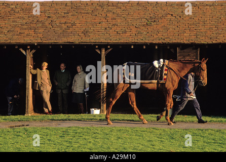 Un cheval est marchait à côté des écuries à l'Hippodrome de Towcester Northamptonshire Banque D'Images