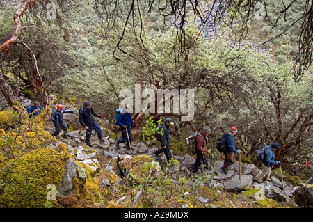 Un groupe de touristes et de guides de trekking à travers le paysage sauvage des Andes sur la "communauté" de l'Inca. Banque D'Images