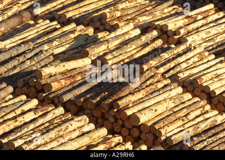 Les piles de journaux Picton Marlborough Sounds ile sud Nouvelle Zelande Banque D'Images