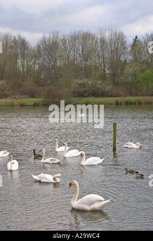 Trois Sœurs Recreation Area est de Ashton dans Makerfield Wigan précédemment le Hall Colliery Garswood Banque D'Images