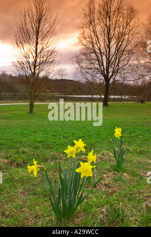 Trois Sœurs Recreation Area est de Ashton dans Makerfield Wigan précédemment le Hall Colliery Garswood Banque D'Images