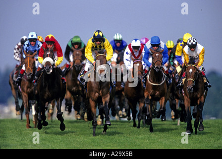 Les chevaux et les jockeys dans les courses de piquets d'Ascot pendant la réunion au Royal Ascot Banque D'Images