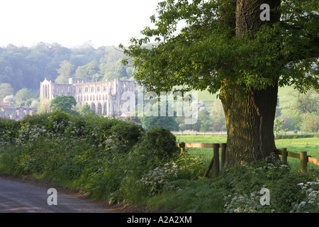 Les ruines ensoleillées pittoresques de la magnifique abbaye médiévale historique de Rievaulx dans une vallée tranquille à flanc de colline (soirée d'été) - North Yorkshire, Angleterre, Royaume-Uni. Banque D'Images