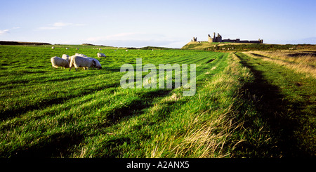 Vue sur Château De Dunstanburgh de la plage près de Craster sur la côte de Northumberland Région d'une beauté naturelle Banque D'Images