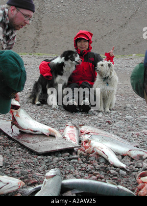 Pêche à l'île de Baffin Banque D'Images