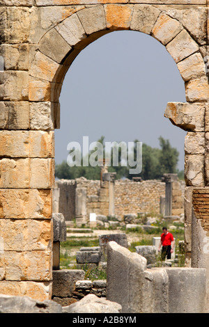 Arch par l'entrée de la basilique, Volubilis, Maroc Banque D'Images