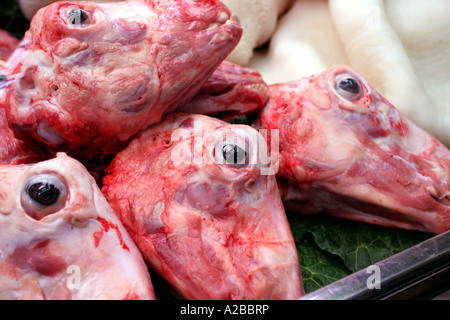 Les têtes de moutons sur un étal de marché à Barcelone Espagne Europe Banque D'Images