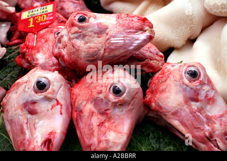 Les têtes de moutons sur un étal de marché à Barcelone Espagne Europe Banque D'Images