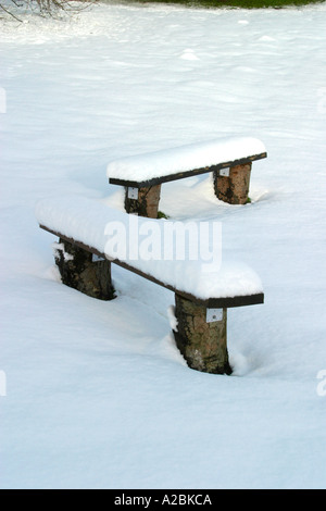 Paire de bancs en bois couverts dans la neige profonde Banque D'Images