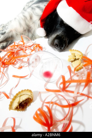 Photo studio d'un chien endormi dans un chapeau de Père Noël, entouré de banderoles en papier, d'un verre à vin vide et de nourriture de fête jetée. Banque D'Images