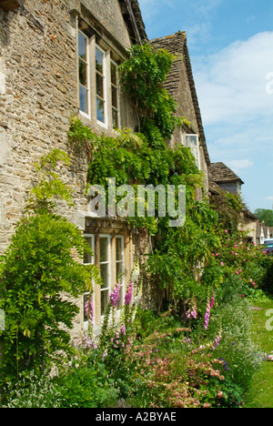 Vieux chalet pittoresque de plantes grimpantes sur trellis dans Wiltshire Lacock Angleterre UK GB EU Europe Banque D'Images