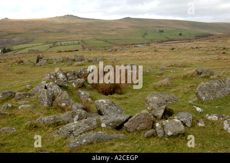 La relique de pierre de cercles sur Dartmoor National Park près de Merrivale, Tavistock. XPL 4322-407 Banque D'Images