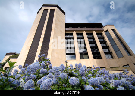 Bâtiment moderne au coeur du quartier financier à Edimbourg avec fleurs lilas à l'avant-plan, Ecosse, Royaume-Uni Banque D'Images