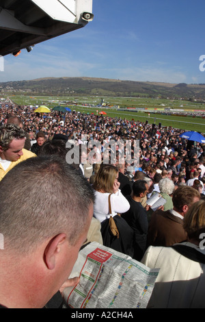 Spectateurs de la Cheltenham Gold Cup festival d'examiner la forme de l'ossature et les cavaliers dans le journal Banque D'Images