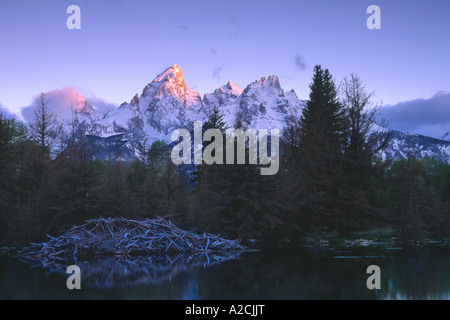 Teton Mountains avec snow et alpenglow sur étang de castors avec vue à Beaver Lodge Banque D'Images