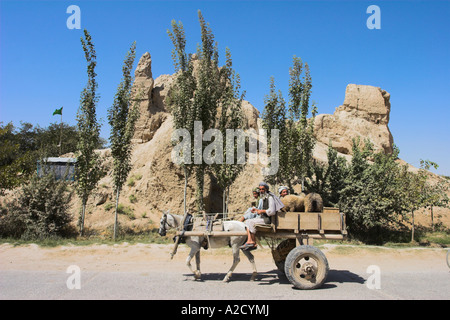 Balkh AFGHANISTAN Mère des villes des hommes à cheval et panier avec des moutons en retour ride Cours des anciens murs de Balkh Banque D'Images