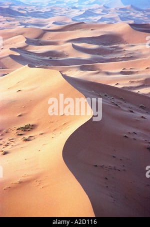 Erg Chebbi dunes de sable dans le Sahara Marocain Banque D'Images