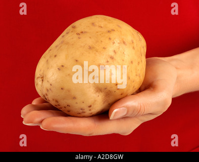 Femme tenant DE POMMES DE TERRE AU FOUR Banque D'Images