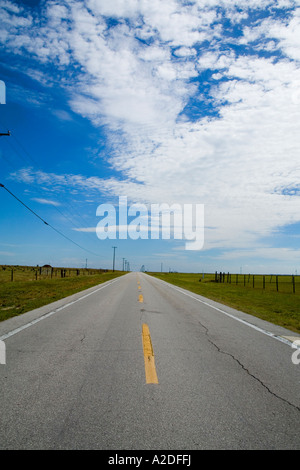 Tout droit country road in Polk County, Floride, USA dans le coeur d'orange pays producteur. Banque D'Images