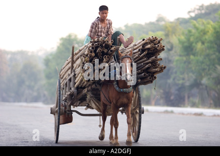 Cheval et panier à Mandalay, Myanmar. Banque D'Images