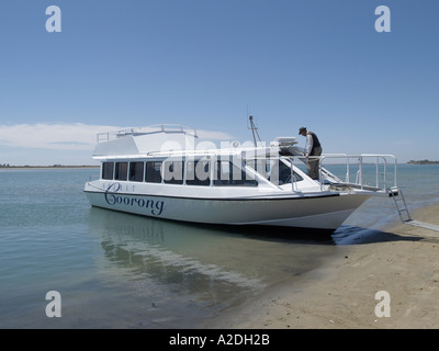 Esprit de la terre d'artisanat touristique coorong lagune coorong péninsule younghusband Parc national du Coorong Australie du Sud Banque D'Images