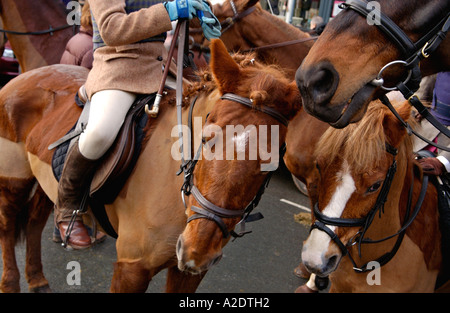 Et Brecon Powys Pays de Galles Abergavenny Recherche de Talybont UK GO à l'extérieur de l'hôtel L'ours de collecte Banque D'Images